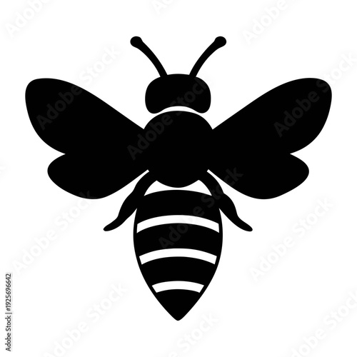 Black and white honey bee vector graphic for apiary insect design and honey production logo concept