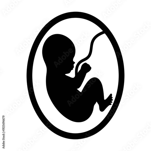 Fetus silhouette in womb vector illustration for pregnancy and baby design projects graphic art