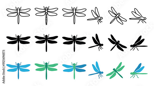 Set of dragonfly vector icons presented in three different styles: simple line art, solid black silhouette, and colorful blue and green flat design elements for graphic design