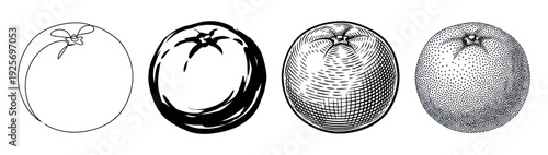 Four black and white orange fruit illustrations showcasing different graphic styles like continuous line art, ink brush stroke, vintage engraving, and stippling dotwork