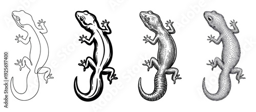 Four black and white gecko illustrations in various artistic techniques like single line drawing, high contrast silhouette, detailed hatching, and pointillism dotwork