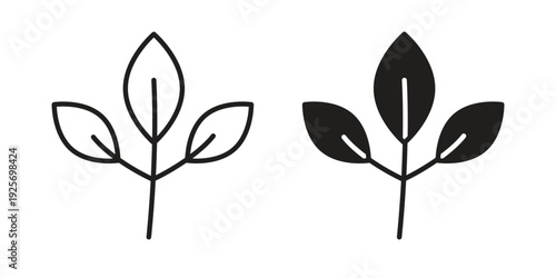 Basil icon. modern vector symbols set