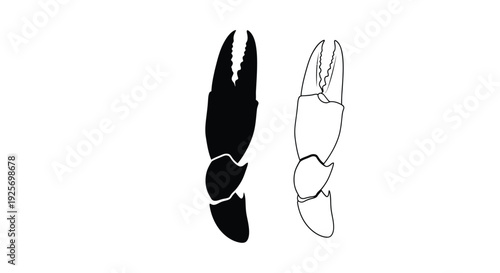 Black crab claw and outline drawing a striking silhouette