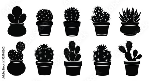 Black silhouette illustration of various potted cacti and succulents