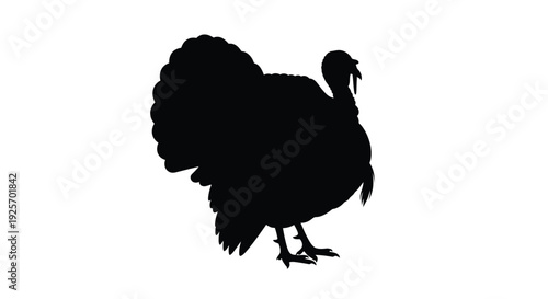 A striking black silhouette of a majestic wild turkey silhouette