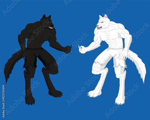 vector design of two muscular werewolves in hybrid or anthropomorphic humanoid form sometimes also called crinos form and the right one is white and the left one is black with a blue background