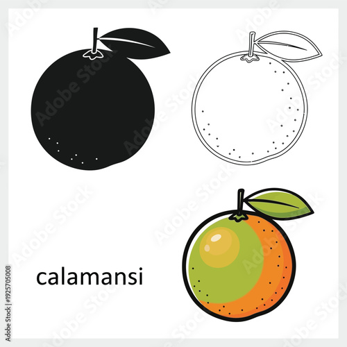 Calamansi citrus fruit vector illustration set with leaf and silhouette icons
