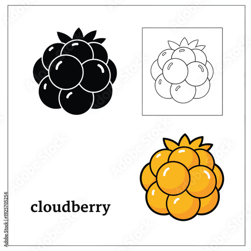 Cloudberry fruit set in different styles isolated on transparent background vector