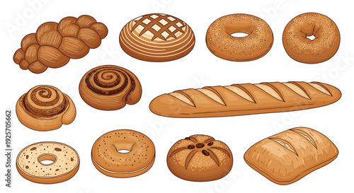 Hand-drawn assortment of freshly baked bread and pastries, including a baguette, bagels, and cinnamon rolls, creating a rustic bakery collection on a white background.