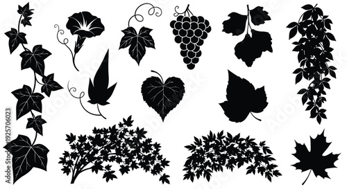 Collection of various plant and vine silhouettes including ivy, grapevines, morning glory, and maple leaves for decorative design.