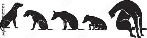 dog, pooping, sequence, silhouette, vector, illustration, pet, toilet, training, step, by, step, guide, isolated, background, funny, infographic, set, animal, care