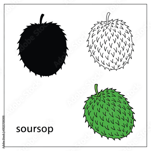 Soursop hand drawn doodle fruit set with silhouette, outline and colored versions