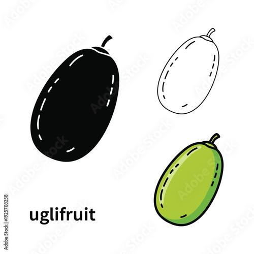Uglifruit hand drawn doodle fruit set with silhouette, outline and colored versions