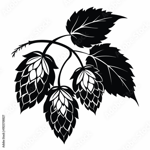 hop cones with leaves on a twig silhouette line art vector illustration with a white background