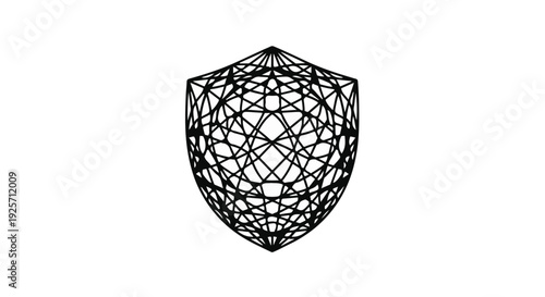 black wireframe shield with geometric pattern
