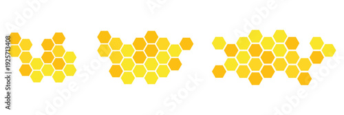 Honeycombs icon. Natural honeycomb icons collection. Beeswax hive icons. vector isolated on white background