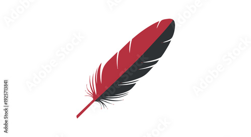 A red and black feather