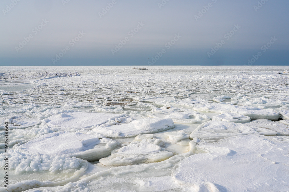 Obraz premium Vast Frozen Baltic Sea Coast Covered with Drift Ice and Snow in Winter