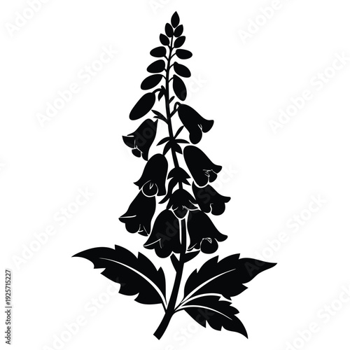 foxglove flower silhouette line art vector illustration with a white background