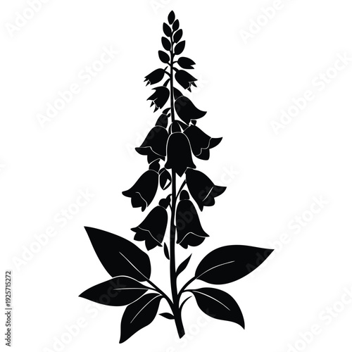 foxglove flower silhouette line art vector illustration with a white background