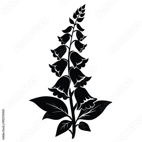 foxglove flower silhouette line art vector illustration with a white background