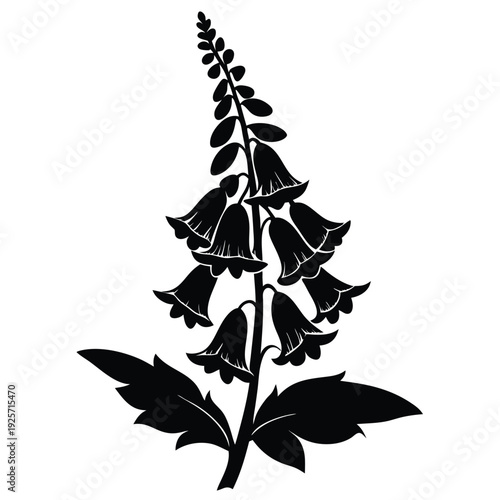 foxglove flower silhouette line art vector illustration with a white background