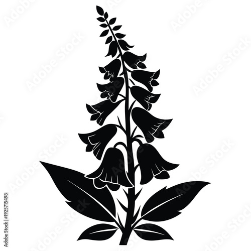 foxglove flower silhouette line art vector illustration with a white background