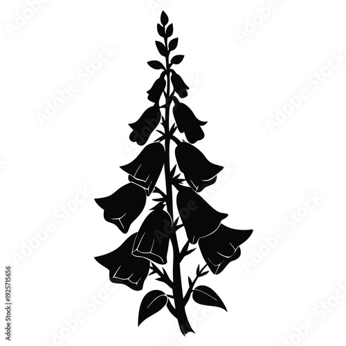 foxglove flower silhouette line art vector illustration with a white background