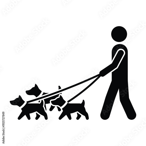 Black silhouette of a professional dog walker exercising three small pets on leashes