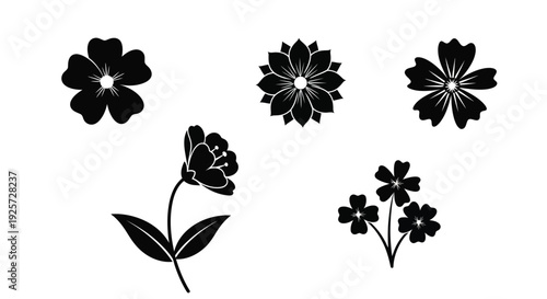 Black floral designs featuring various blooms in a striking silhouette