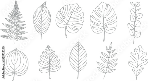 Collection of ten distinct botanical line art illustrations featuring various tropical and deciduous plant leaves suitable for graphic design projects.