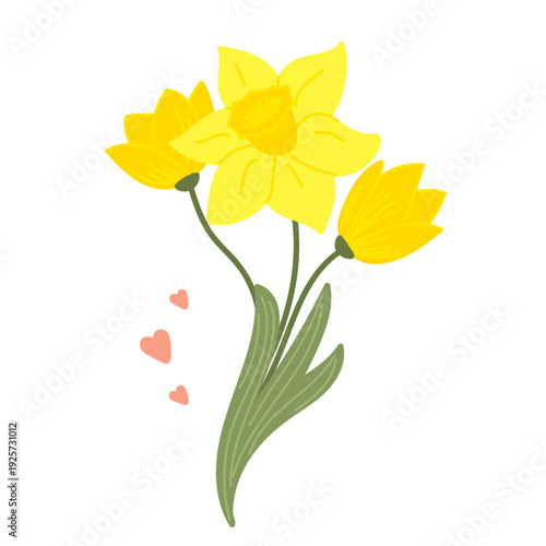 Cute narcissus and tulips bouquet in flat cartoon design. Yellow and orange spring flowers with stems and leaves. Lovely seasonal floral gift from garden with hearts.Vector illustration isolated.