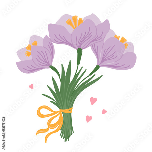 Cute purple crocus bouquet in flat cartoon design. Gentle spring saffron flowers with stems and leaves. Lovely seasonal floral gift from garden with hearts and ribbon.Vector illustration isolated.