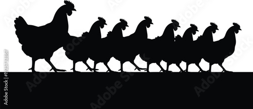 Chicken silhouette illustration set, poultry bird artwork, farm animal vector design, agriculture graphic icon, black white livestock symbol