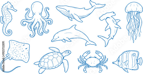 Blue line drawings of various ocean creatures including fish dolphins whales and sea turtles on white background for aquatic designs