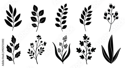 Collection of botanical leaf and floral designs in black silhouette