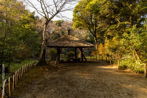 Slika na platnu Traditional Wooden Shelter at Meiji Jingu Shrine, Tokyo Japan