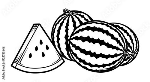 Black and white illustration of three watermelons including a sliced wedge
