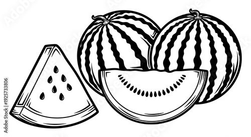 Black and white illustration of whole and sliced watermelons arranged together