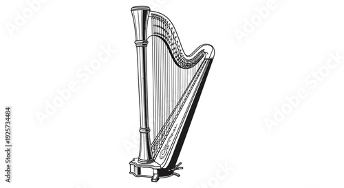 Detailed illustration of a classical harp with decorative elements isolated on white
