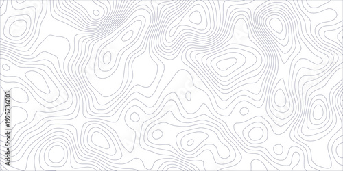 Seamless Topographic Contour Map Pattern with Abstract White Relief Waves  Geographic Mountain Terrain Texture Grid Vector for Cartography Concept