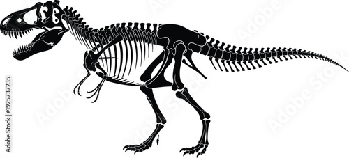 Tyrannosaurus rex skeleton silhouette illustration, prehistoric dinosaur fossil bones black and white vector isolated on clean background