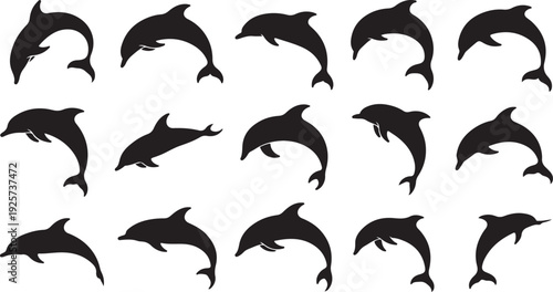 Black dolphin silhouettes jumping and swimming on white background ocean