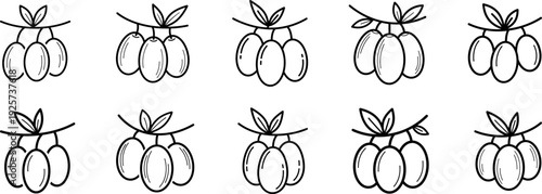 Date fruit branch vector icon set featuring sweet kurma sketch with leaves for Ramadan Iftar meal fasting nutrition concepts and organic healthy eating designs in simple black line art outline style