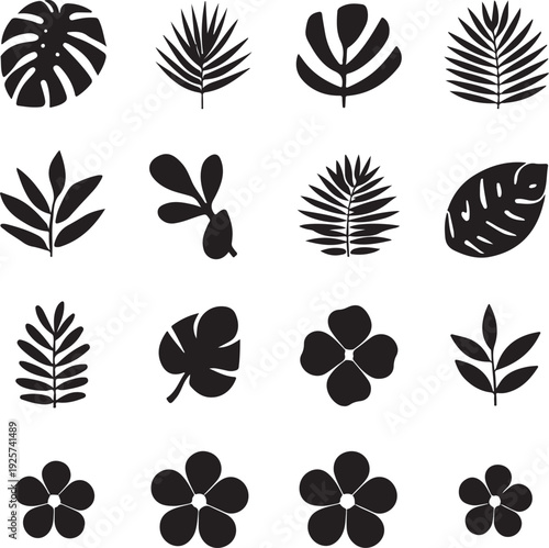Tropical leaves silhouettes set with monstera and palm