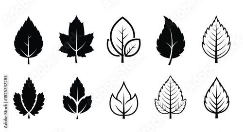 Ten distinct leaf shapes are presented in outline and solid.