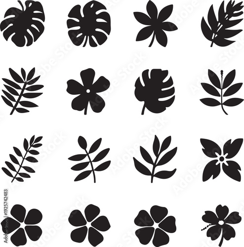 Tropical leaves vector set. Monstera silhouette collection.