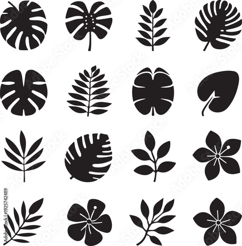 Tropical leaves vector. Set of palm leaves silhouettes isolated on white background. vector set of tropical leaves