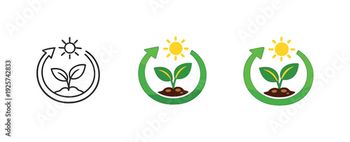 Plant growth cycle with sun and circular arrow icon, representing photosynthesis and renewal