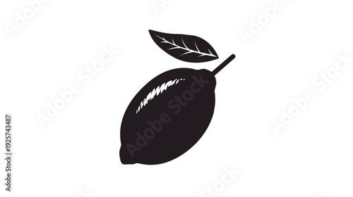 Stylized, silhouette illustration of a citrus fruit with a leaf and stem against a stark white background
